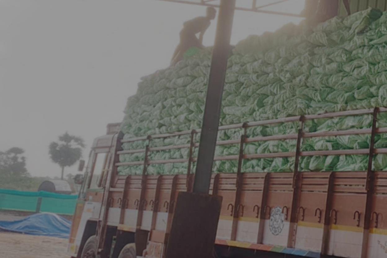 Home - AA Coconut Traders - AA Coconut Traders